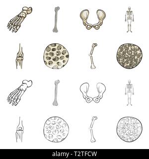 Fémur,pieds,de,la hanche,appareil locomoteur Fracture,fibres,ostéoporose,cheville,bony,joints,sain,scientifique,la douleur,cell,jambe,bassin,tissu,biais,squelettique, la podologie, la chirurgie du genou,,system,dommage,musculaire,avant-pied,conjonctif,tibia,body,cartilage épithélium,médecine,clinique,biologie,médical,os,,squelette anatomie,des,organes,,set,icône,,illustration,collection,isolé,design,graphisme,élément vecteur vecteurs,signer , Illustration de Vecteur