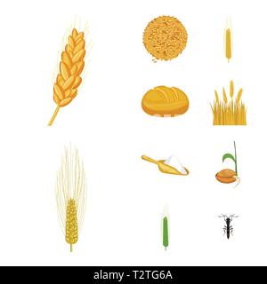 L'orge de printemps, pain, farine, graines,voler,spike,graines,hiver,repas,insectes,grandir,dur,Culture,,ecope,root,ravageur,alimentation,terrain,céréales,commande,petit-déjeuner, un champ d'avoine,stop,oreille,blé,maïs,grain,récolte,ferme,terrain,agriculture,agriculture,seigle,plantes,,set,icône,,illustration,collection,isolé,design,graphisme,élément signe,caricature,couleur,vecteurs vecteur , Illustration de Vecteur