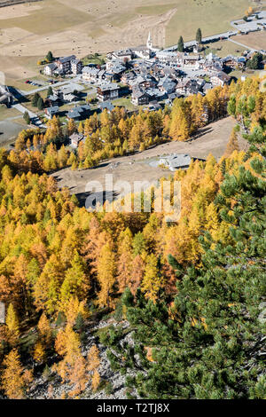 L'Italie, vallée d'Aoste, Gran Paradiso National Park, la Vallée de Rhêmes, mélèzes européens forêt en automne et de pin cembro (Pinus cembra), Rhemes-Notre-Dame alpine village Banque D'Images