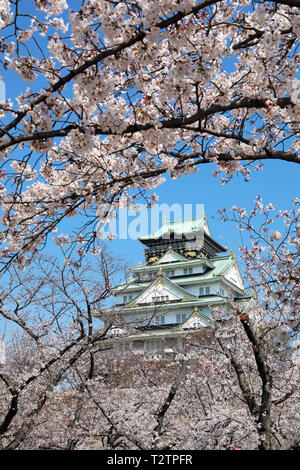 Osaka, Japon. 4ème apr 2019. Le Château d'Osaka vu à travers les branches de cerisiers en fleurs pendant la saison des cerisiers en fleur, Osaka, Japon Crédit : Paul Brown/Alamy Live News Banque D'Images
