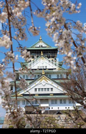 Osaka, Japon. 4ème apr 2019. Le Château d'Osaka vu à travers les branches de cerisiers en fleurs pendant la saison des cerisiers en fleur, Osaka, Japon Crédit : Paul Brown/Alamy Live News Banque D'Images