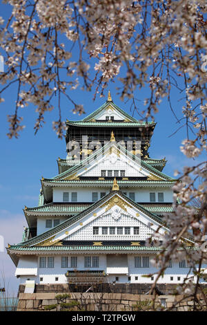 Osaka, Japon. 4ème apr 2019. Le Château d'Osaka vu à travers les branches de cerisiers en fleurs pendant la saison des cerisiers en fleur, Osaka, Japon Crédit : Paul Brown/Alamy Live News Banque D'Images