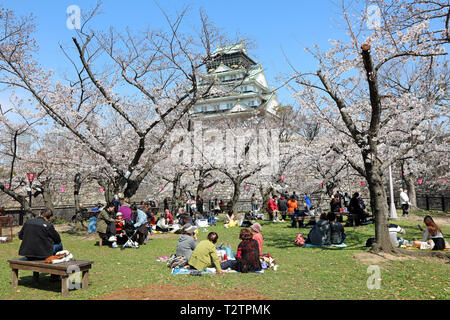 Osaka, Japon. 4ème apr 2019. Profitez des japonais hanami sous les arbres pendant la saison des cerisiers en fleur avec en arrière-plan du Château d'Osaka, Osaka, Japon Crédit : Paul Brown/Alamy Live News Banque D'Images