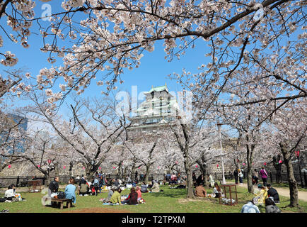 Osaka, Japon. 4ème apr 2019. Profitez des japonais hanami sous les arbres pendant la saison des cerisiers en fleur avec en arrière-plan du Château d'Osaka, Osaka, Japon Crédit : Paul Brown/Alamy Live News Banque D'Images