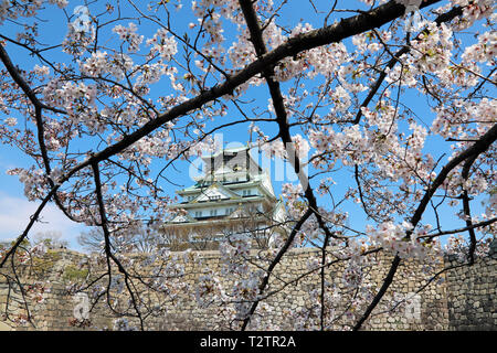 Osaka, Japon. 4ème apr 2019. Le Château d'Osaka vu à travers les branches de cerisiers en fleurs pendant la saison des cerisiers en fleur, Osaka, Japon Crédit : Paul Brown/Alamy Live News Banque D'Images