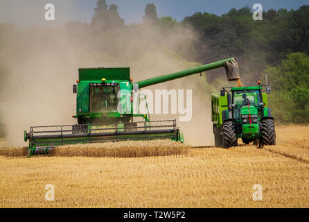 De coupe de moissonneuse-batteuse tout en cultures céréalières de transférer du grain à un tracteur avec remorque. Banque D'Images