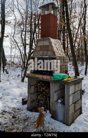 La maçonnerie en brique pour cuisinière barbecue dans la forêt enneigée avec des steaks juteux cuisson sur une grille au dessus de la braise et de l'attente à l'avant chat jaune, ville Zavet Banque D'Images