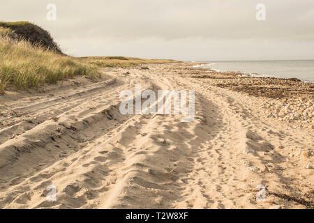 Situé dans le nord de la région de B.I. c'est une belle plage tranquille qui est la maison d'oiseaux nicheurs rares et d'Amérique du phare. Grande plage de sable à pied le long de th Banque D'Images