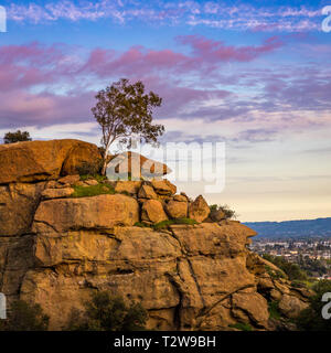 Arbre isolé au sommet de belles formations de roche de grès au coucher du soleil avec des nuages dans le ciel, le Jardin des Dieux, Chatsworth, Californie parc Banque D'Images