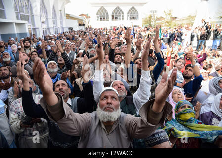 Les dévots musulmans du Cachemire vu l'éducation de leurs mains tout en implorant pour des bénédictions que le prêtre Principal affiche une relique que l'on croit être de la barbe du prophète Mohammed SAW au cours des célébrations. Des milliers de musulmans se sont rassemblés au Sanctuaire Hazratbal à Srinagar pour marquer la veille de Meraj-U-Alam, l'Ascension du prophète Mohammed SAW au ciel. Banque D'Images