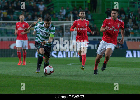 03 avril, 2019. Lisbonne, Portugal. Le milieu de terrain du Sporting du Portugal Bruno Fernandes (8) en action pendant le match Sporting CP vs SL Benfica © Alexandre de Sousa/Alamy Live News Banque D'Images