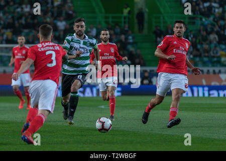 03 avril, 2019. Lisbonne, Portugal. Le milieu de terrain du Sporting du Portugal Bruno Fernandes (8) en action pendant le match Sporting CP vs SL Benfica © Alexandre de Sousa/Alamy Live News Banque D'Images