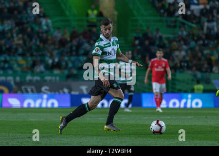 03 avril, 2019. Lisbonne, Portugal. Le milieu de terrain du Sporting du Portugal Bruno Fernandes (8) en action pendant le match Sporting CP vs SL Benfica © Alexandre de Sousa/Alamy Live News Banque D'Images