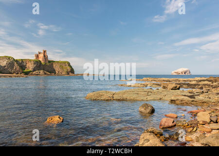 Surplombant le Firth of Forth et la côte d'East Lothian Le Château de Tantallon et distant Bass Rock près de North Berwick, Ecosse Banque D'Images