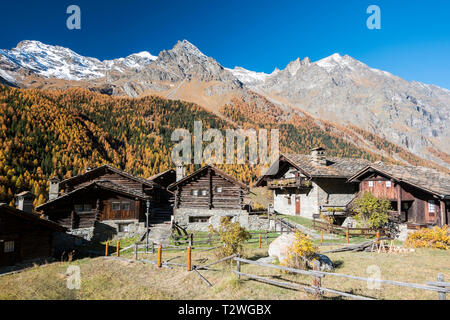 L'Italie, Valsavarenche, Parc National du Gran Paradiso, le village de nex, rénové respectant le contour original par l'architecte Franco Binel ; l'épinette de Norvège et le mélèze d'Europe forêt en automne Banque D'Images