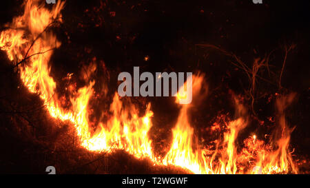 Feu de forêt la nuit, feu, fire, montagne, bois brûlé Banque D'Images