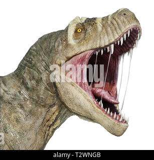T-rex tête close-up avec la bouche ouverte, isolé sur fond blanc. Banque D'Images