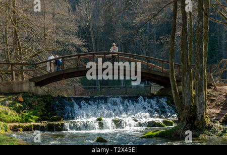 Pont de bois sur la rivière Cascade Banque D'Images