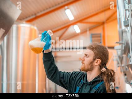 La production de bière à la brasserie Qajaq, Narsaq, Groenland Banque D'Images