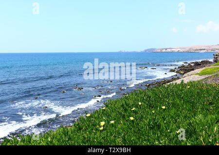 Blick auf den Atlantik bei auf Maspalomas Gran Canaria Banque D'Images