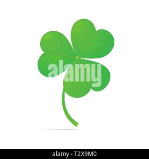 Trèfle vert avec une légère ombre. Isolé sur un fond blanc. Le symbole de l'Irlande. Illustration de Vecteur