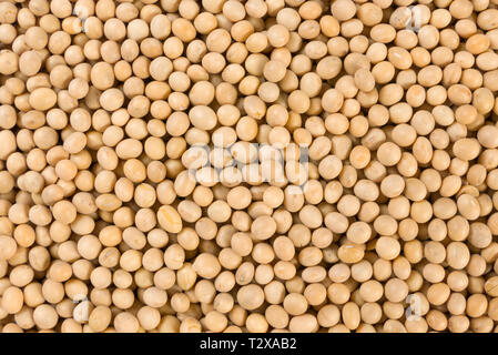 Soya texture background. la nutrition. L'ingrédient alimentaire. Banque D'Images