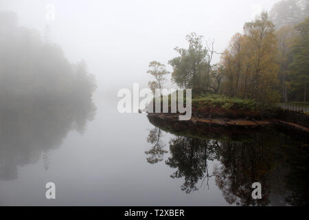 Arbre d'automne reflets dans Loch Katrine, le Parc National des Trossachs, Ecosse Banque D'Images