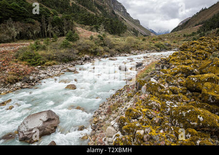 Dans la vallée de la rivière Tarina, Gasa District, le Snowman Trek, Bhoutan Banque D'Images