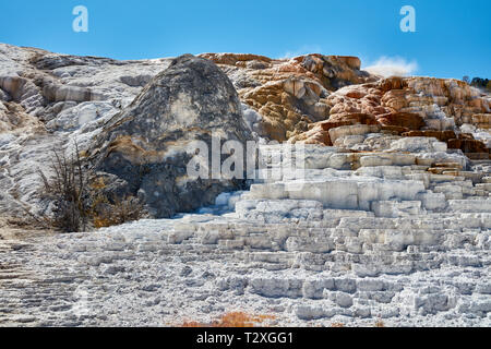 Terrasses de dépôts minéraux construit autour d'un ancien cône de source chaude à Mammoth Hot Springs dans le Parc National de Yellowstone Banque D'Images