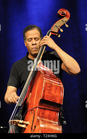 Stanley Clarke, bassiste de jazz, en live Banque D'Images