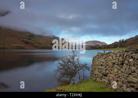 Rivage d'Crummock Water avec un petit arbre et mur de pierre.Crummock Water est l'un des lacs situés dans le Parc National du Lake District dans le cou Banque D'Images