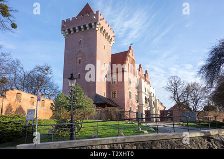 Le Château Royal de la vieille ville de la ville polonaise de Poznan Pologne datant de 1249 Banque D'Images