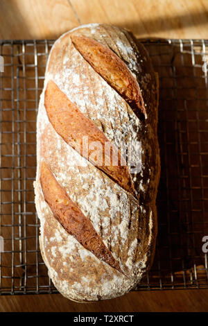 Une miche de pain au levain fait maison sur une grille de refroidissement. Banque D'Images