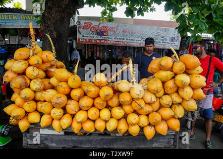 Roi rouge coco pour la vente sur la rue à Colombo, Sri Lanka Banque D'Images