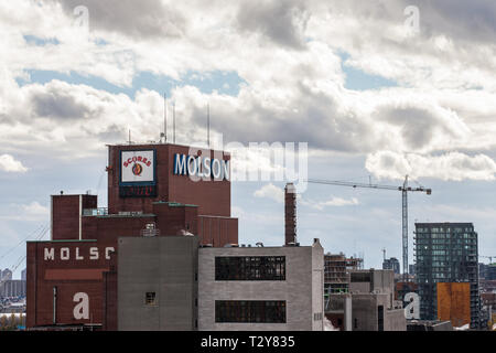 Montréal, Canada - le 8 novembre, 2018 : le logo de Molson Coors Molson Brewery tour de brique dans le centre-ville de Montréal, Québec. Il est l'un des plus grands producteurs de bière Banque D'Images