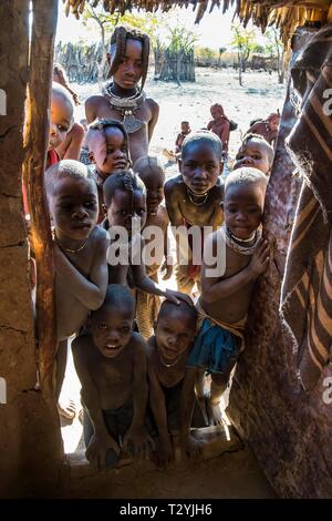 De nombreux enfants curieux à la recherche d'une cabane, Kaokoland Himba, Namibie Banque D'Images