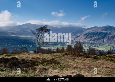 Le vieil homme de Coniston et Wetherlam vu de Crag Head, près de Brantwood, Coniston, Lake District, Cumbria Banque D'Images