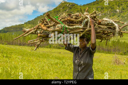 Malawian femme porte sur sa tête un grand paquet de bois juste couper des arbres sur la colline derrière elle Banque D'Images