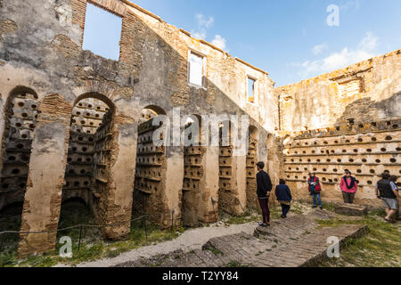 Barbate, Espagne. Le Palomar de la Brena, plus grand pigeonnier dans le monde à l'intérieur d'un ranch du 18ème siècle et dans la province de Cadix, Andalousie Banque D'Images