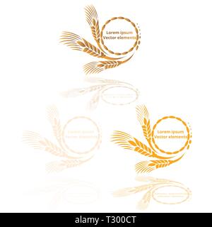 Les épis de blé, d'avoine ou d'orge trois logotypes vector set golden sur fond blanc. Eco ingrédient naturel élément, une nourriture saine ou l'agriculture, brea Illustration de Vecteur
