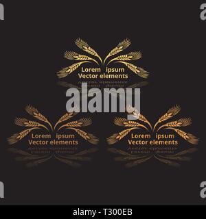 Les épis de blé, d'avoine ou d'orge trois logotypes vector set golden sur fond noir. Eco ingrédient naturel élément, une nourriture saine ou l'agriculture, brea Illustration de Vecteur