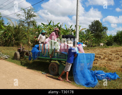 Battambang, Cambodge. 10-12-2018. Une famille khmère dans le Cambodge rural, chargement de la récolte du riz sur une remorque. Banque D'Images