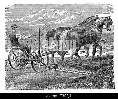 XIX siècle la machine agricole : tondeuse gazon formé par les chevaux avec une récolte annexe pour couper l'herbe et des céréales. Banque D'Images