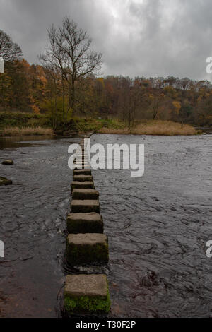 Stepping Stones sur un sentier public traversant la rivière Hodder près de l'auberge à Whitewell, Lancashire, Angleterre, Royaume-Uni Banque D'Images