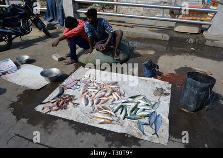 Chennai, Indien. Le 08 février, 2019. Marché aux poissons, sur la plage de Chennai (Madras) en Inde du Sud, ajoutée le 08.02.2019 | Conditions de crédit dans le monde entier : dpa/Alamy Live News Banque D'Images