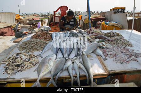 Chennai, Indien. Le 08 février, 2019. Marché aux poissons, sur la plage de Chennai (Madras) en Inde du Sud, ajoutée le 08.02.2019 | Conditions de crédit dans le monde entier : dpa/Alamy Live News Banque D'Images