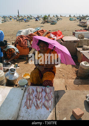 Chennai, Indien. Le 08 février, 2019. Marché aux poissons, sur la plage de Chennai (Madras) en Inde du Sud, ajoutée le 08.02.2019 | Conditions de crédit dans le monde entier : dpa/Alamy Live News Banque D'Images