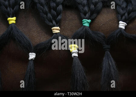 Katmandou, Népal. 5ème apr 2019. Décoré d'un cheval de l'Armée de cheveux est photographié pendant Ghode Jatra Festival Parade de chevaux ou au pavillon de l'armée dans la région de Katmandou, Népal le vendredi 5 avril, 2019. Selon les mythes on pense que Ghode Jatra est célébré comme triomphe sur le démon qui fut un jour l'horreur dans la ville et par les chevaux au galop le démon sprit reste sous la terre. Credit : Skanda Gautam/ZUMA/Alamy Fil Live News Banque D'Images