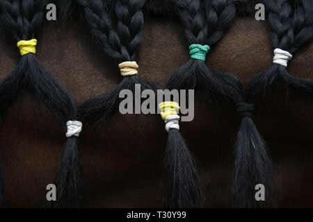 Katmandou, Népal. 5ème apr 2019. Décoré d'un cheval de l'Armée de cheveux est photographié pendant Ghode Jatra Festival Parade de chevaux ou au pavillon de l'armée dans la région de Katmandou, Népal. Selon les mythes on pense que Ghode Jatra est célébré comme triomphe sur le démon qui fut un jour l'horreur dans la ville et par les chevaux au galop le démon sprit reste sous la terre. Credit : Skanda Gautam/ZUMA/Alamy Fil Live News Banque D'Images