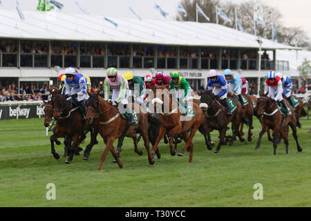 , Aintree Liverpool, Royaume-Uni. 5e Jan, 2019. 16:05 - Santé Randox Topham Handicap Chase (Grade 3) (National) (classe 1) (5 ans et plus) 2m 5f Crédit : MediaWorldImages/Alamy Live News Banque D'Images